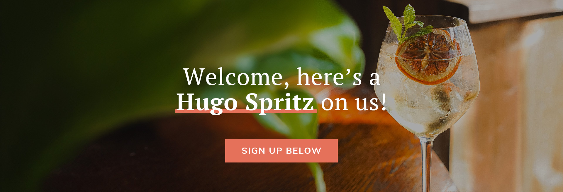 Sign up to the newsletter at The Falcon